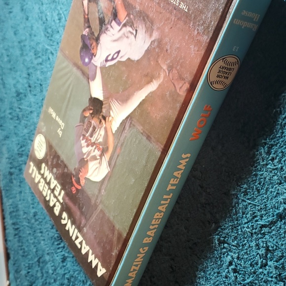 Amazing baseball teams - Picture 3 of 5